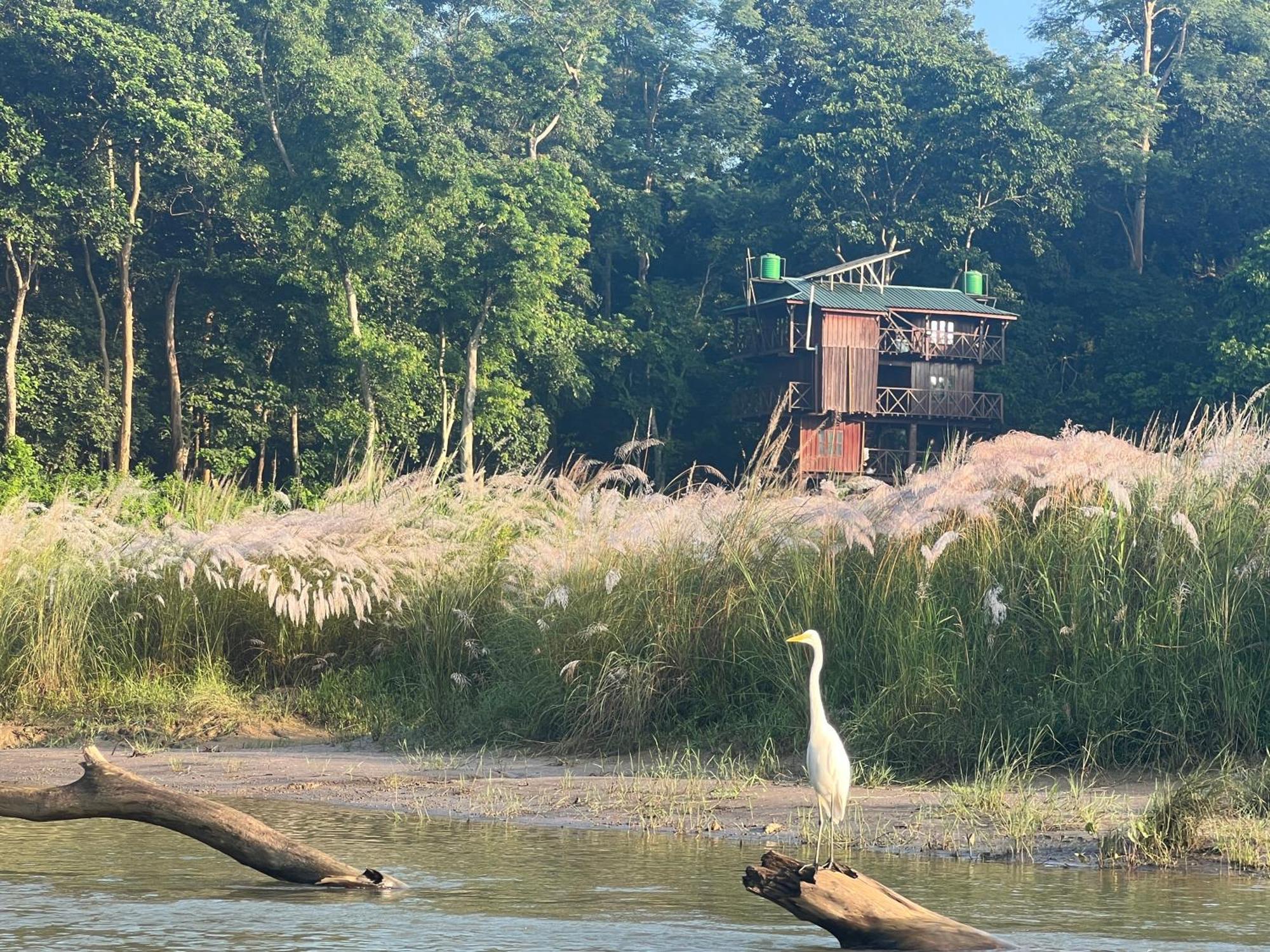 Hotel Chitwan Park Village Sauraha Exterior foto
